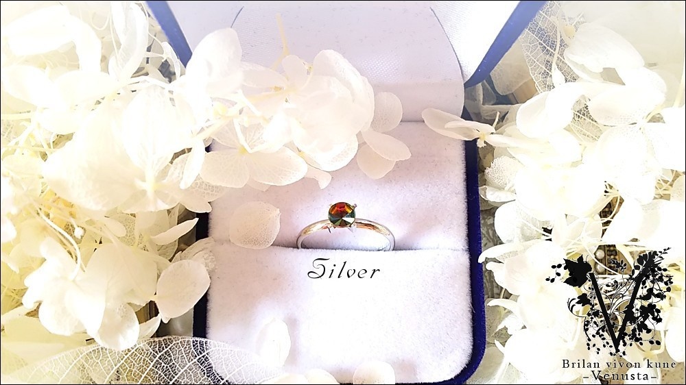 【再販】*ヴィトレイルの小さな彩を-Vintage-*