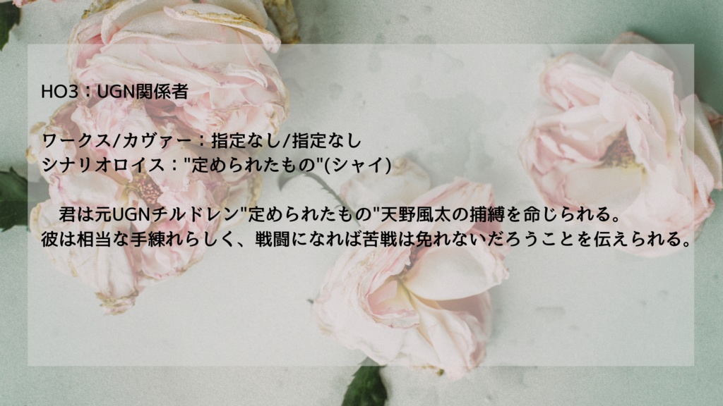 DX3rdシナリオ『traitor's criteria』