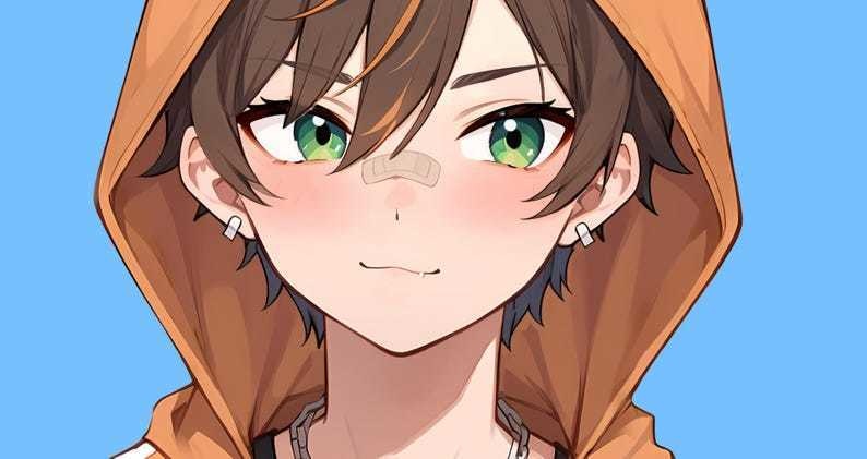 Male premade vtuber model - Fox Hoodie Boy for vtube studio as a customizable colored full body male live2d vtuber