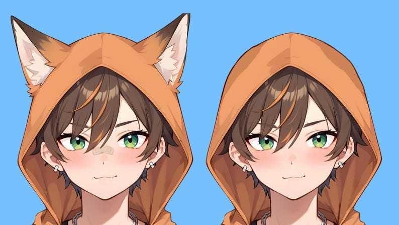 Male premade vtuber model - Fox Hoodie Boy for vtube studio as a customizable colored full body male live2d vtuber