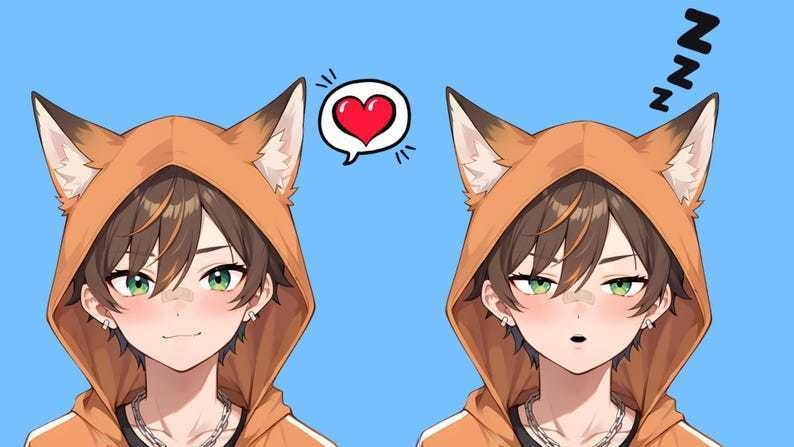 Male premade vtuber model - Fox Hoodie Boy for vtube studio as a customizable colored full body male live2d vtuber