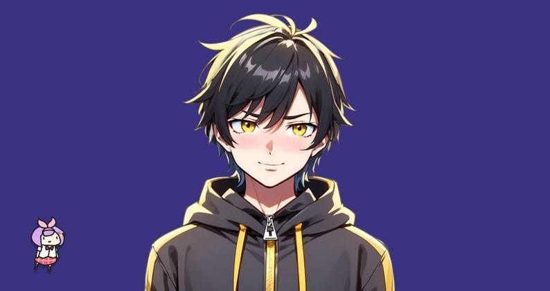 Male premade VTuber model - Hoodie Boy for vtube studio as a cool customizable colored full body vtuber male 2d vtuber