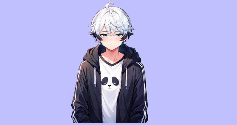 VTuber - Panda Boy for vtube studio as a cool black, white half body vtuber animal male live2d model with custom colors