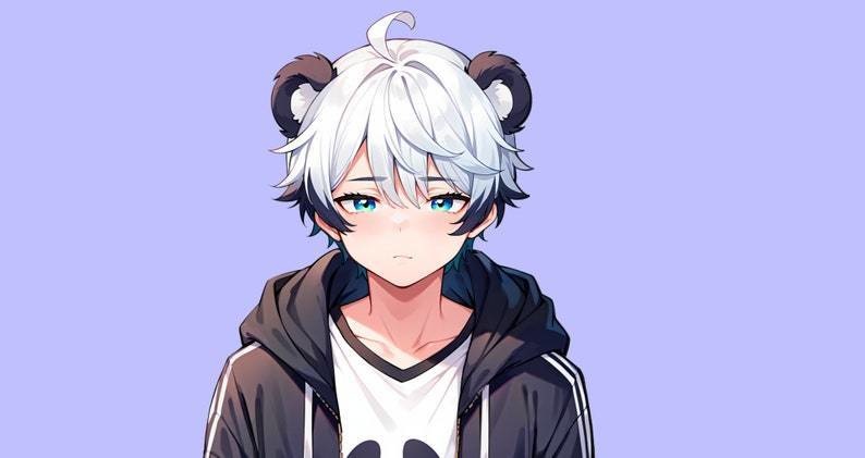 VTuber - Panda Boy for vtube studio as a cool black, white half body vtuber animal male live2d model with custom colors
