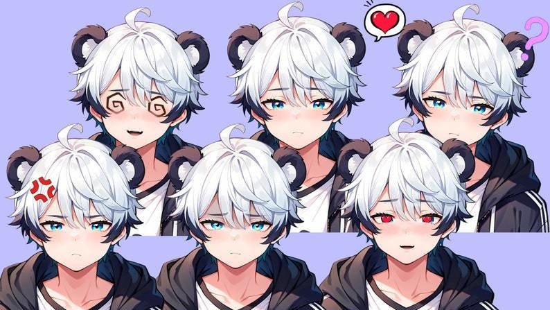 VTuber - Panda Boy for vtube studio as a cool black, white half body vtuber animal male live2d model with custom colors