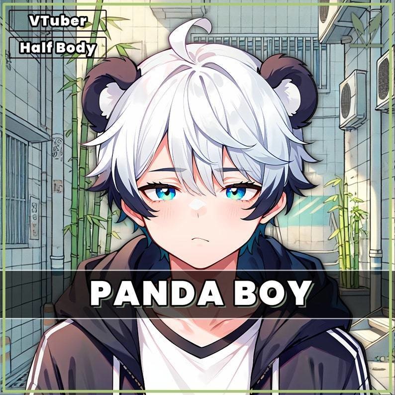 VTuber - Panda Boy for vtube studio as a cool black, white half body vtuber animal male live2d model with custom colors