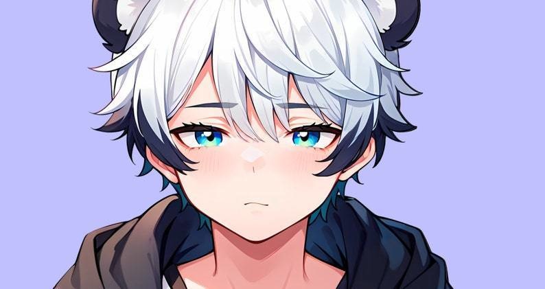 VTuber - Panda Boy for vtube studio as a cool black, white half body vtuber animal male live2d model with custom colors