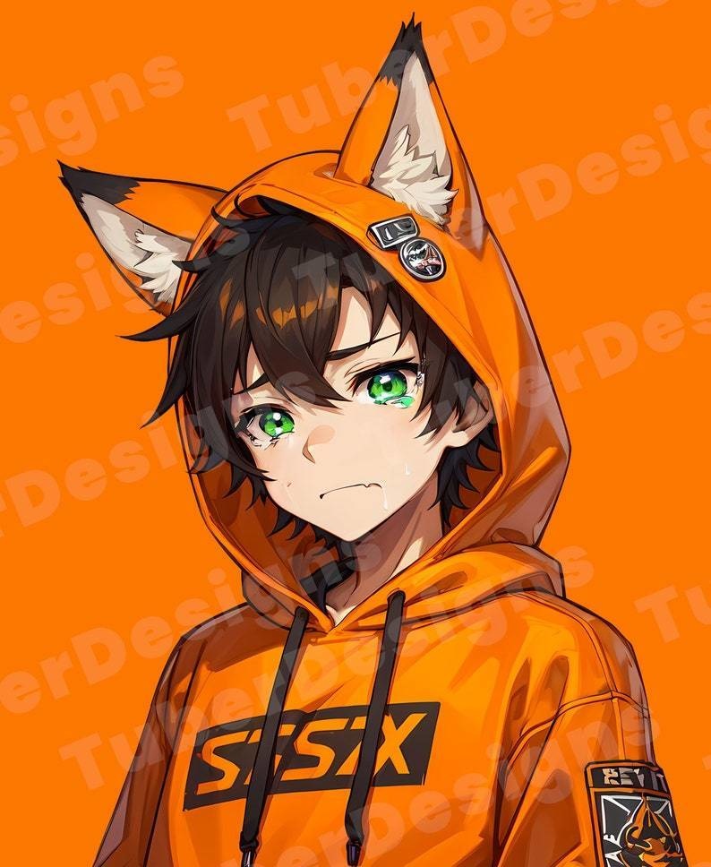 Unique Design PNGTuber Model for Veadotube Mini with Various Expressions | Fox Hoodie Boy