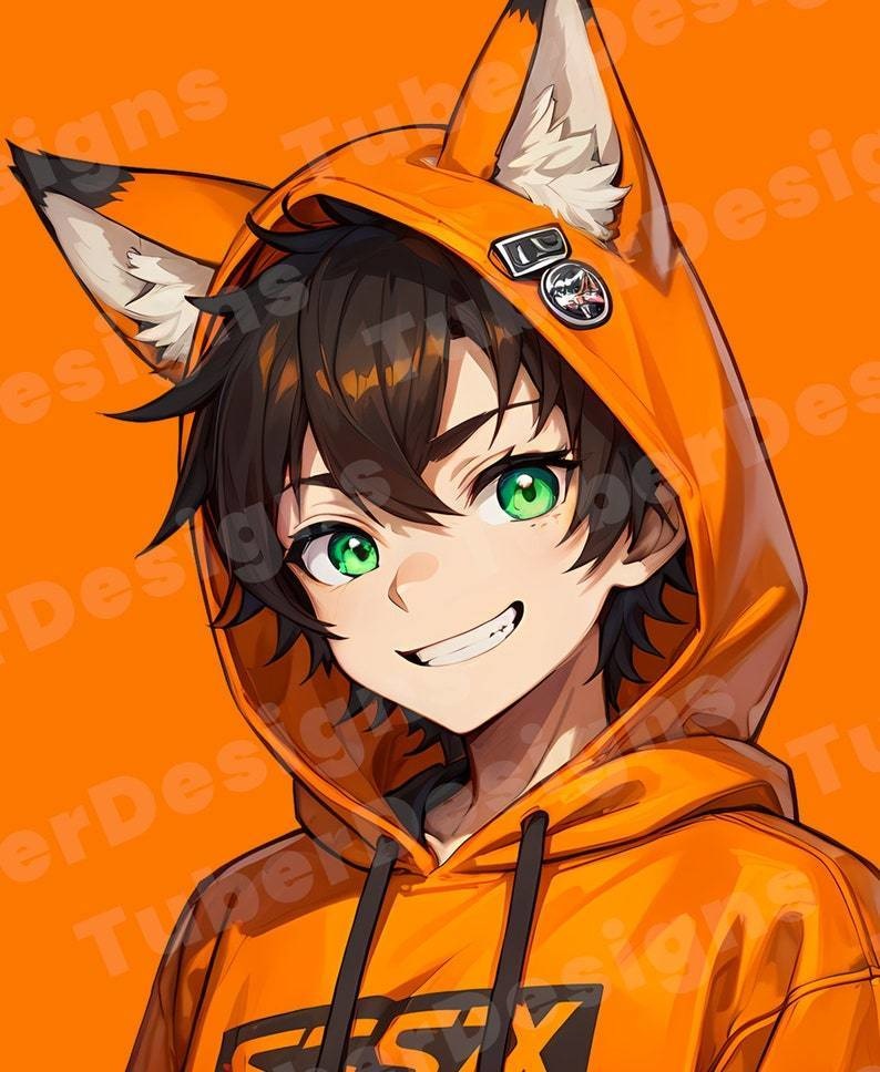 Unique Design PNGTuber Model for Veadotube Mini with Various Expressions | Fox Hoodie Boy