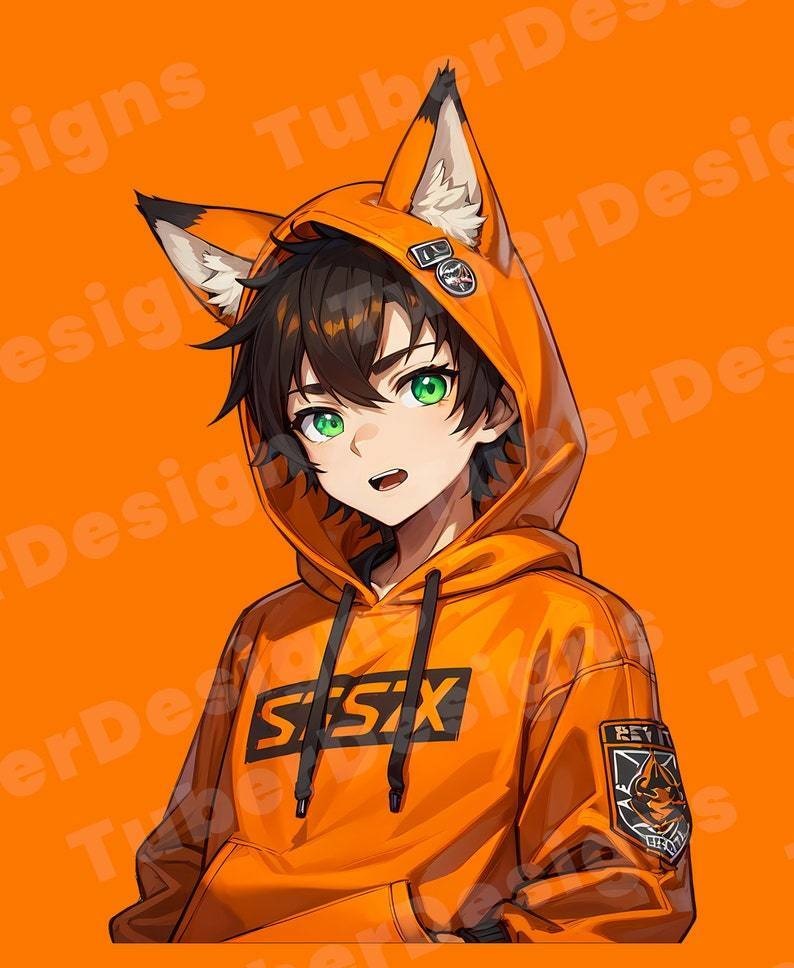Unique Design PNGTuber Model for Veadotube Mini with Various Expressions | Fox Hoodie Boy