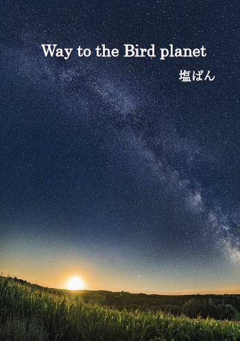 Way to the Bird planet