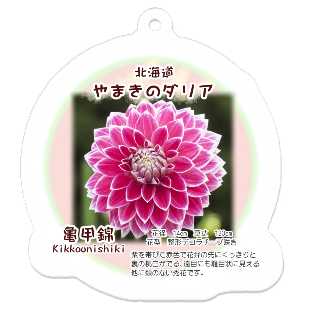 亀甲錦　アクリルキーホルダー