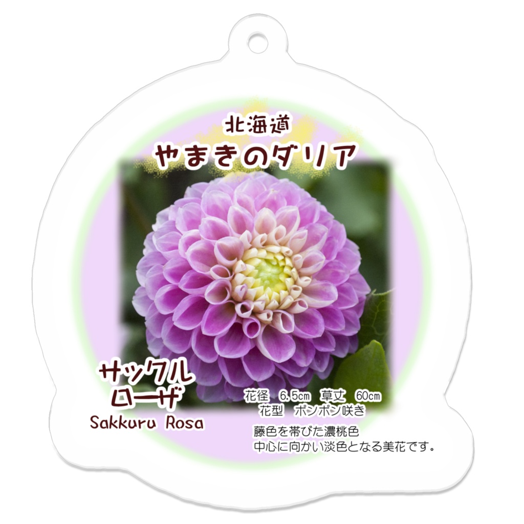 サックルローザ アクリルキーホルダー
