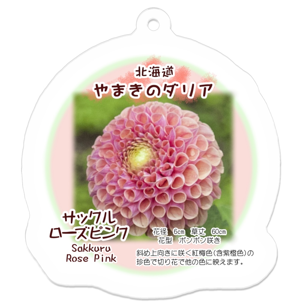サックルローズピンク アクリルキーホルダー