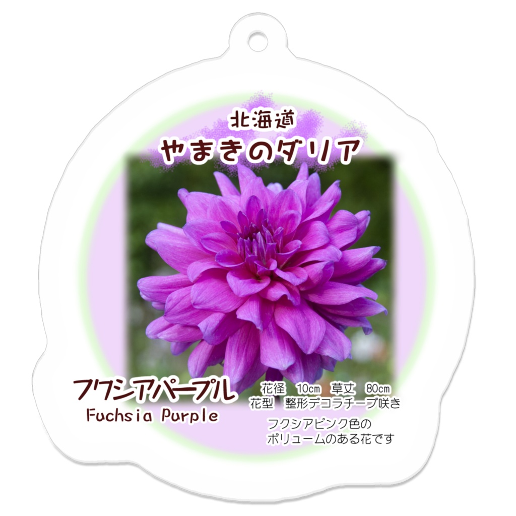 フクシアパープル アクリルキーホルダー