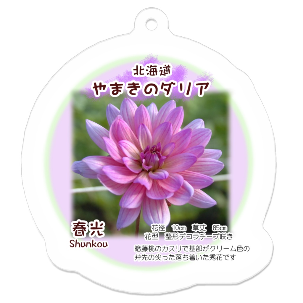 春光 アクリルキーホルダー