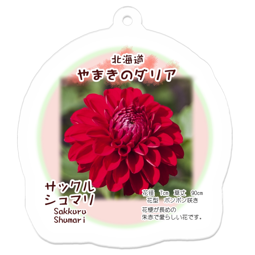 サックルシュマリ　アクリルキーホルダー