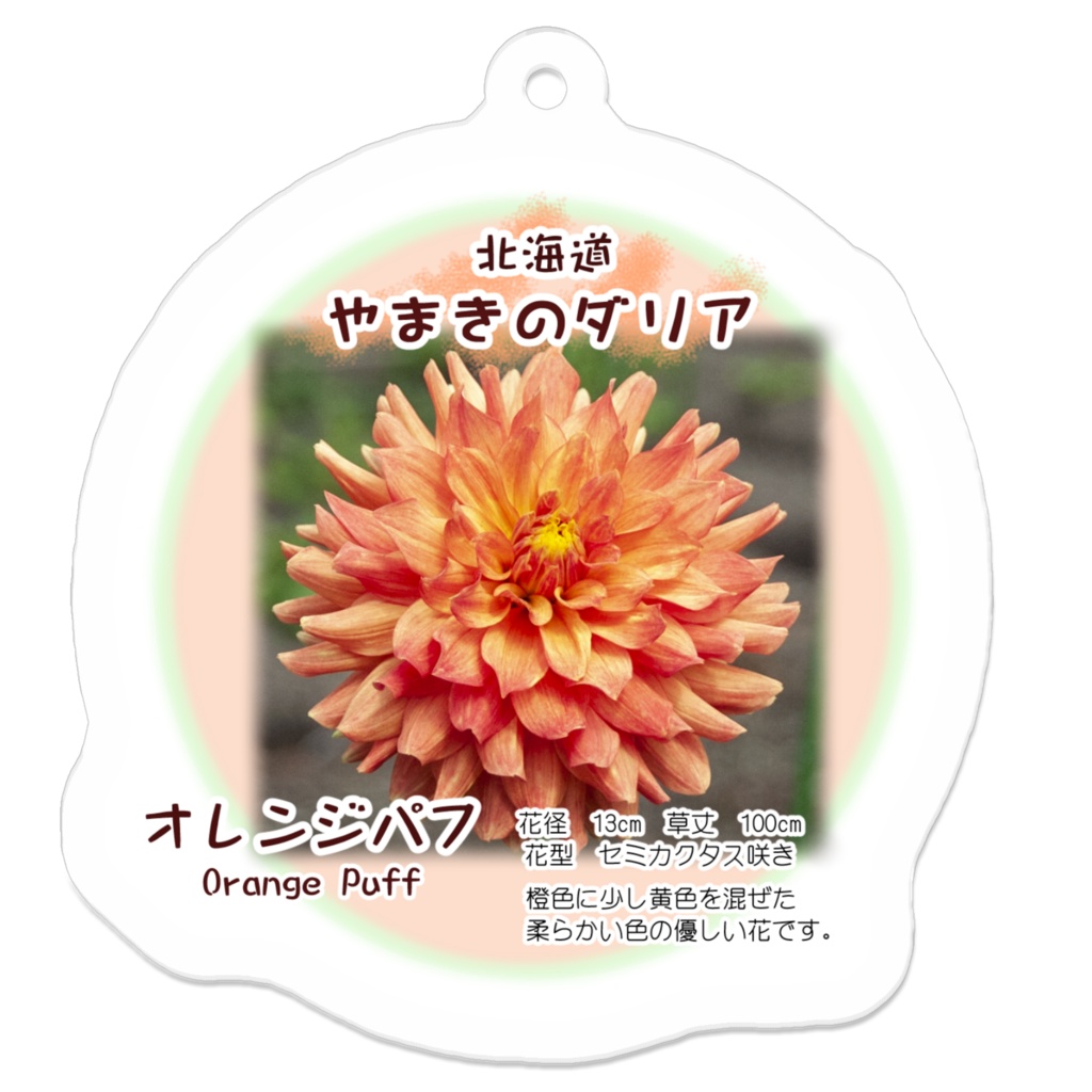 オレンジパフ アクリルキーホルダー