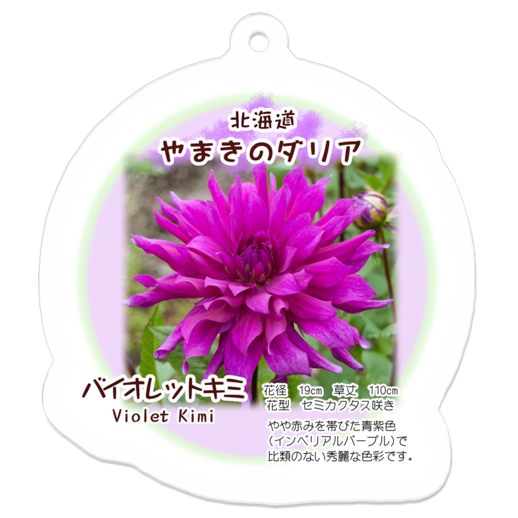 バイオレットキミ アクリルキーホルダー