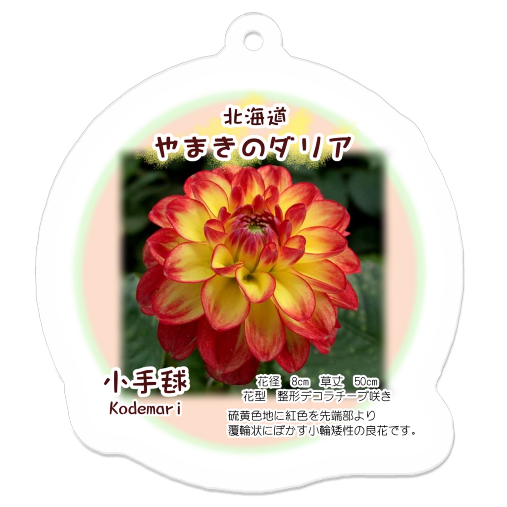 小手毬　アクリルキーホルダー