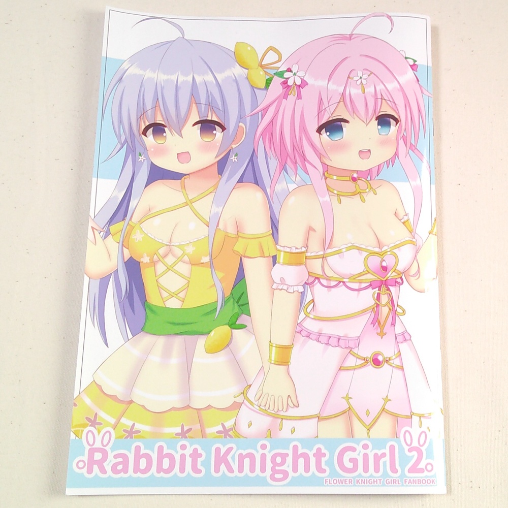Rabbit Knight Girl 2