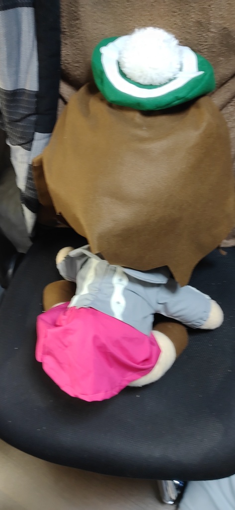 ポケットモンスター剣盾 ユウリ 大きいぬいぐるみ pokemon Gloria plush