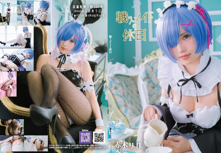 【C95新刊】戦うメイドの休日【DL版、ROM版あり】