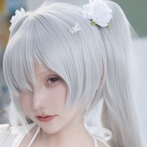 水着シンデレラ 写真集