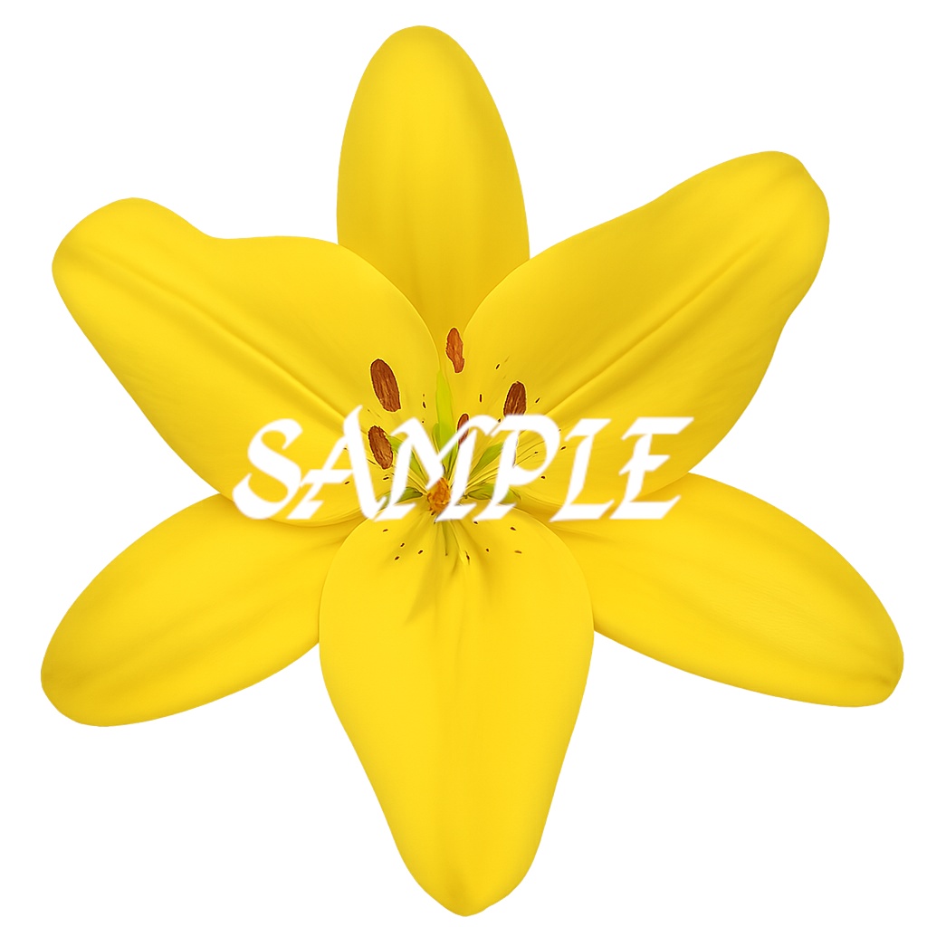 ユリの花素材