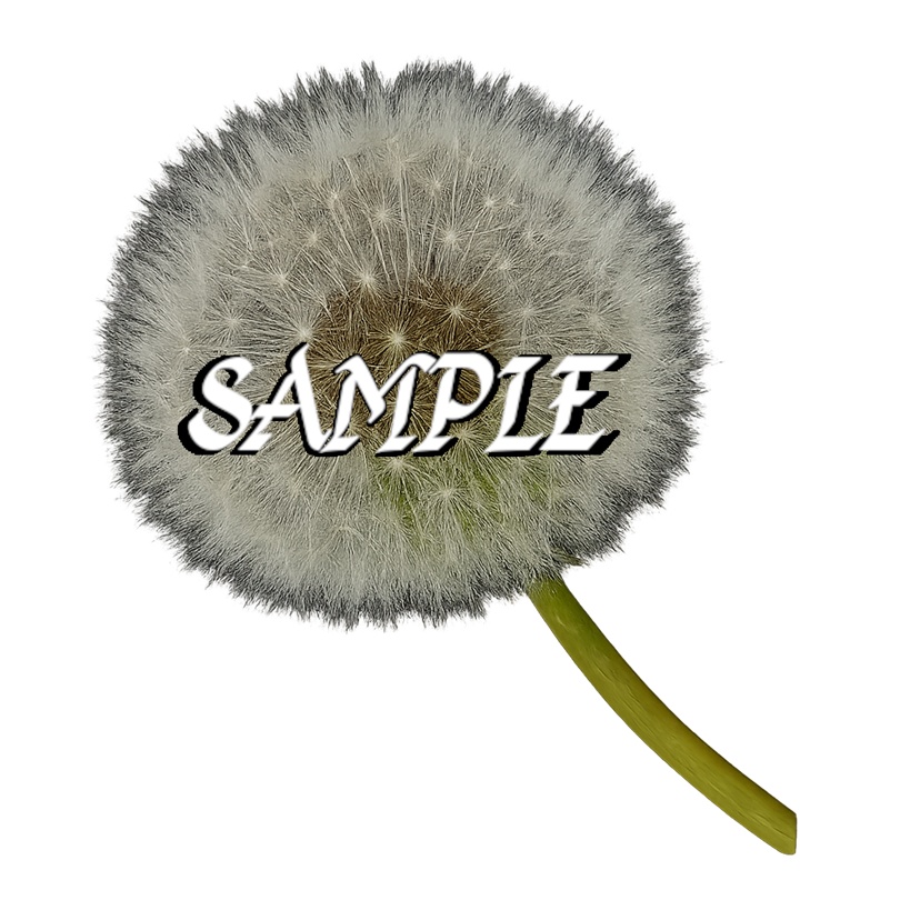 DandeLion