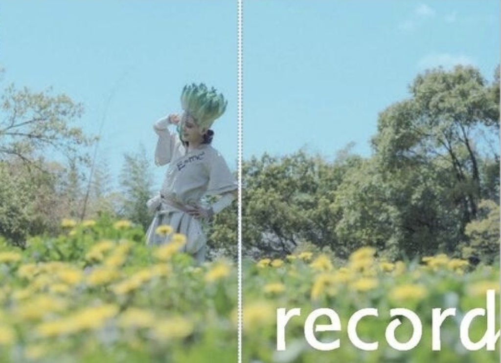 record