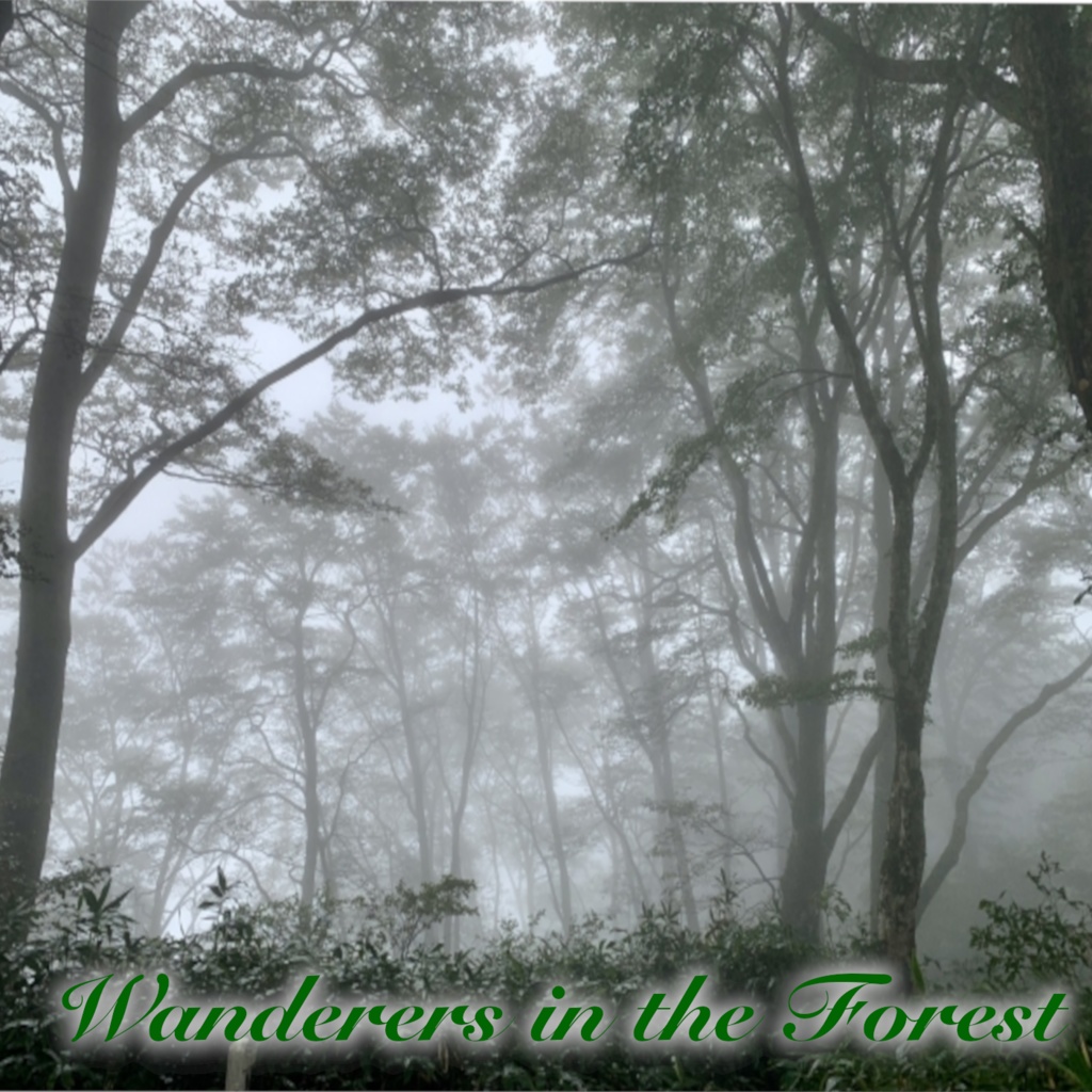 Wanderers in the Forest