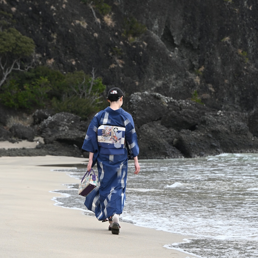 受注 源平合戦 帯地