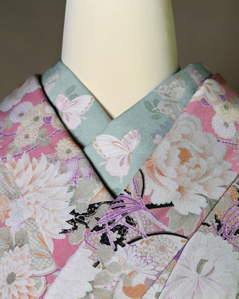 即納:半衿 藤に蝶