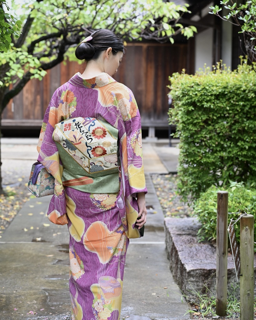 即納: 菊立涌に花薬玉紋様 反物