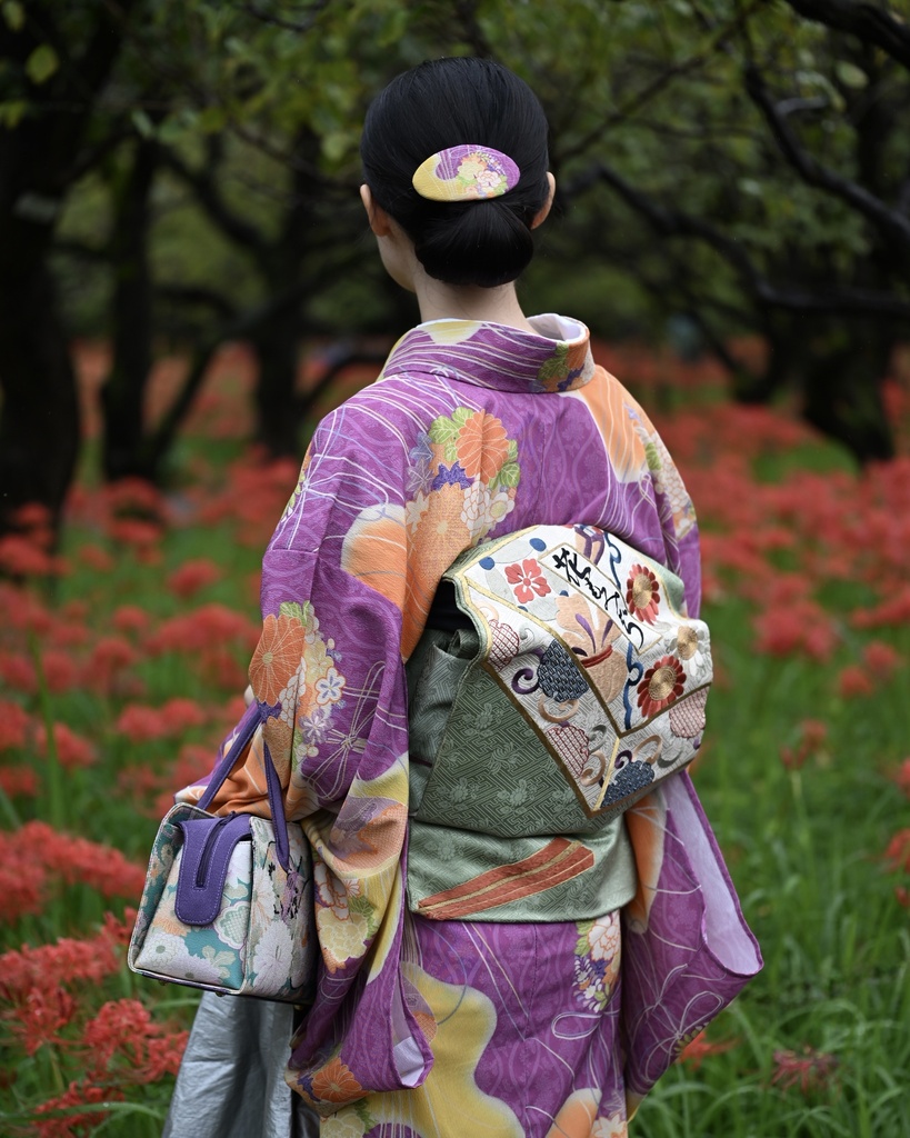即納: 菊立涌に花薬玉紋様 反物