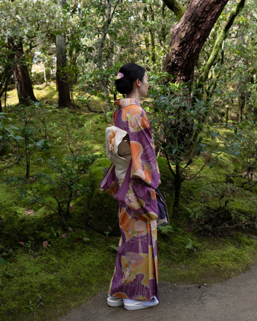 即納: 菊立涌に花薬玉紋様 反物