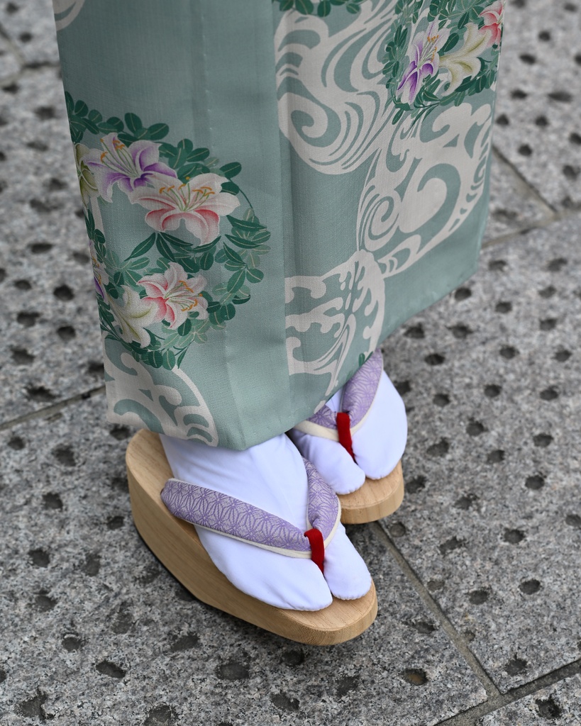 即納: 夏は涼しきように セオアルファ反物