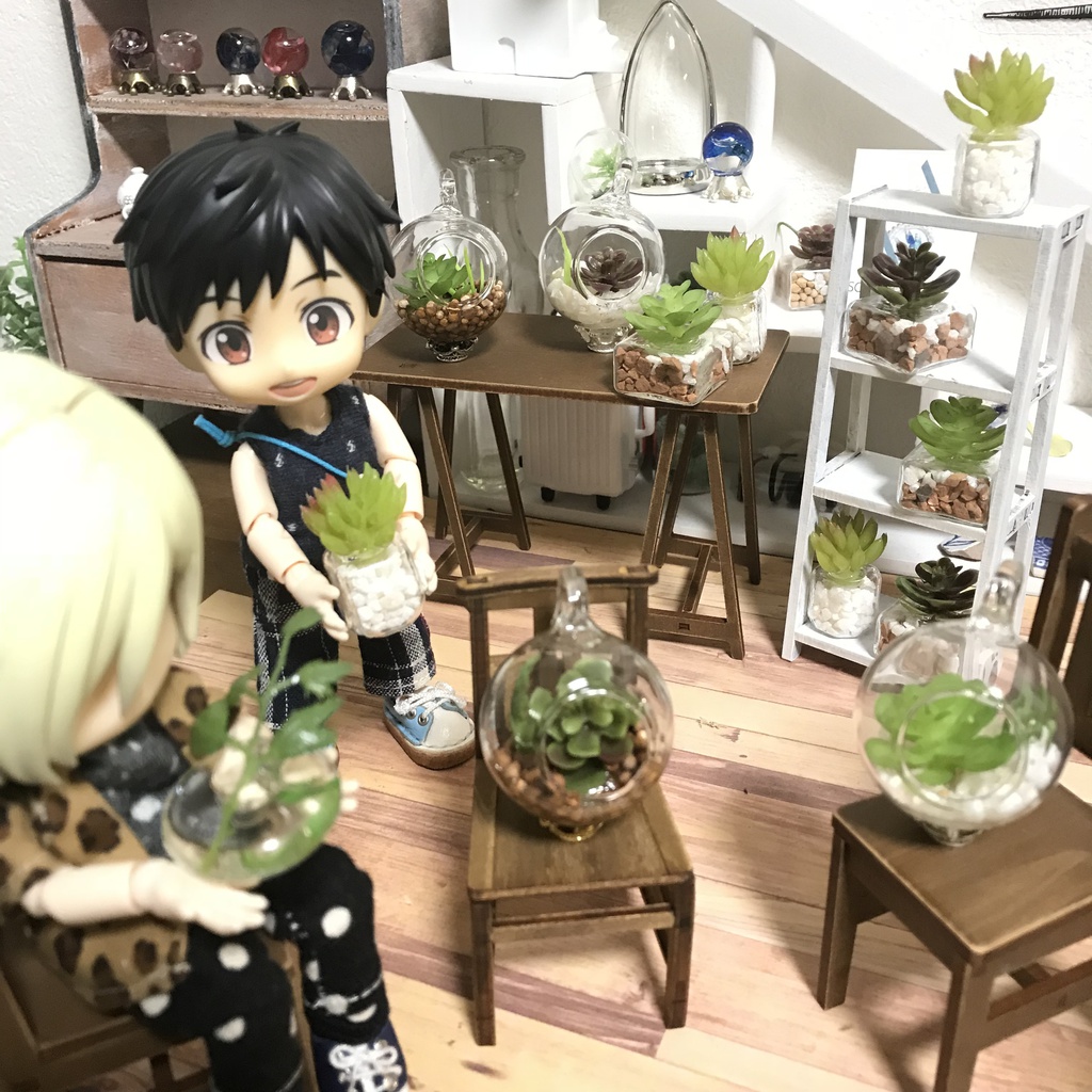 お部屋を彩る☘観葉植物