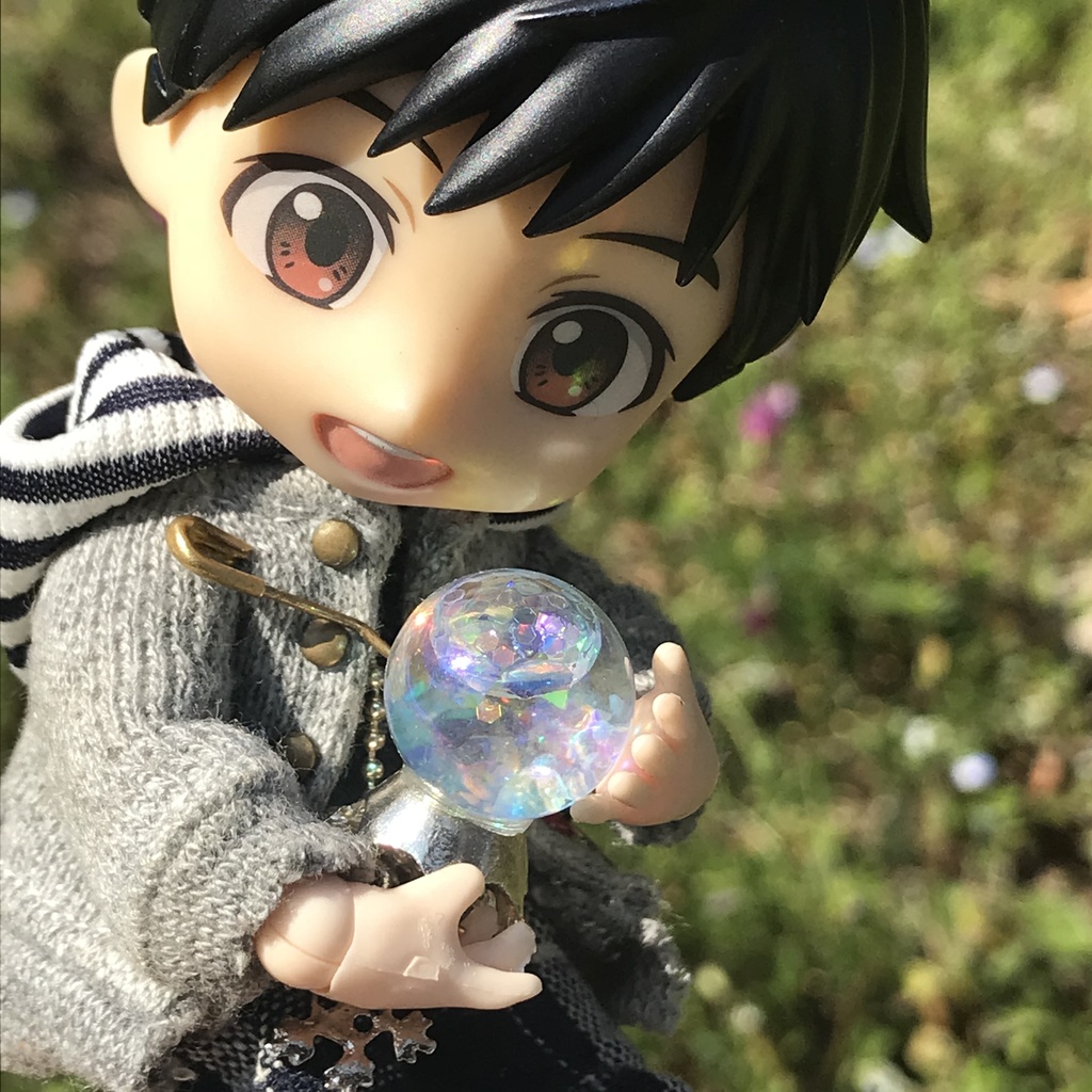 綺羅雪標本スノウドーム❄️