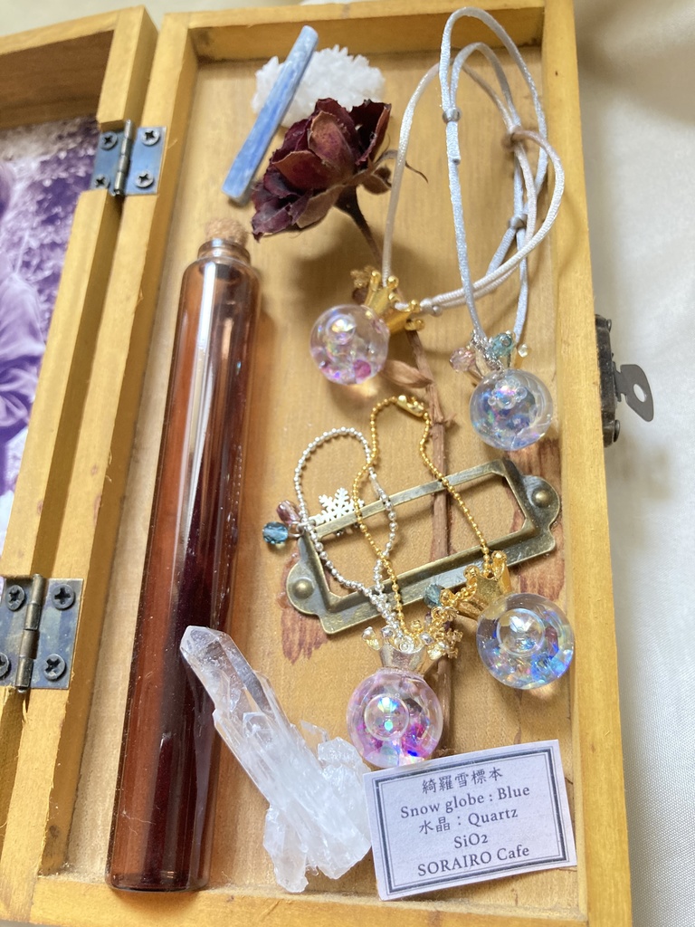 綺羅雪標本スノウドーム❄️