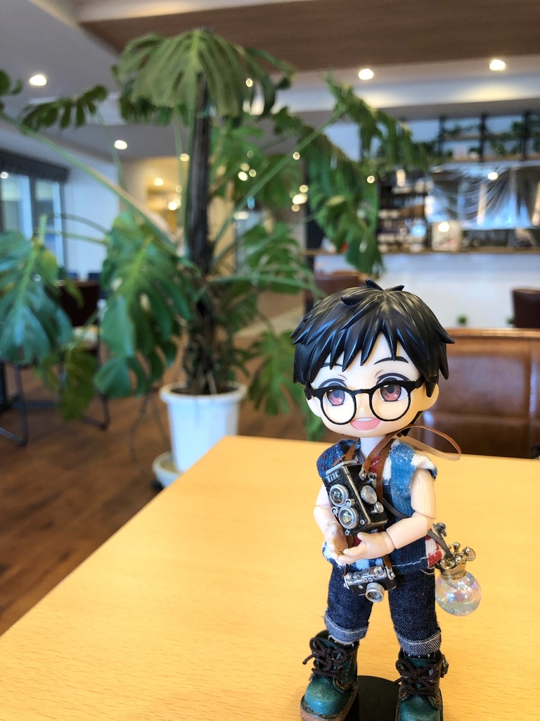 綺羅雪標本スノウドーム❄️