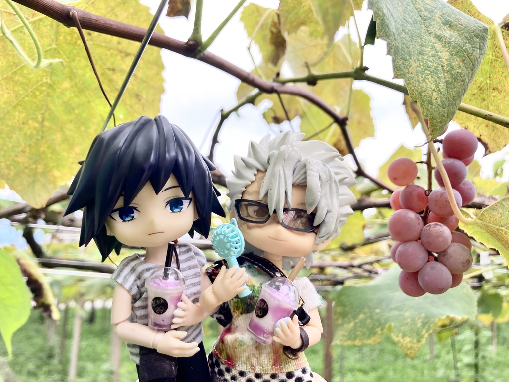 20230820アイドール福岡💐持ち帰り通販