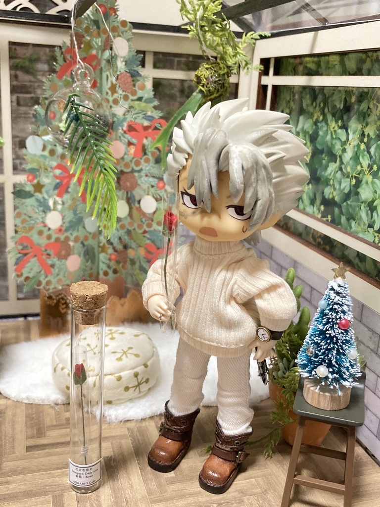 12/17🍃🌊持ち帰り通販