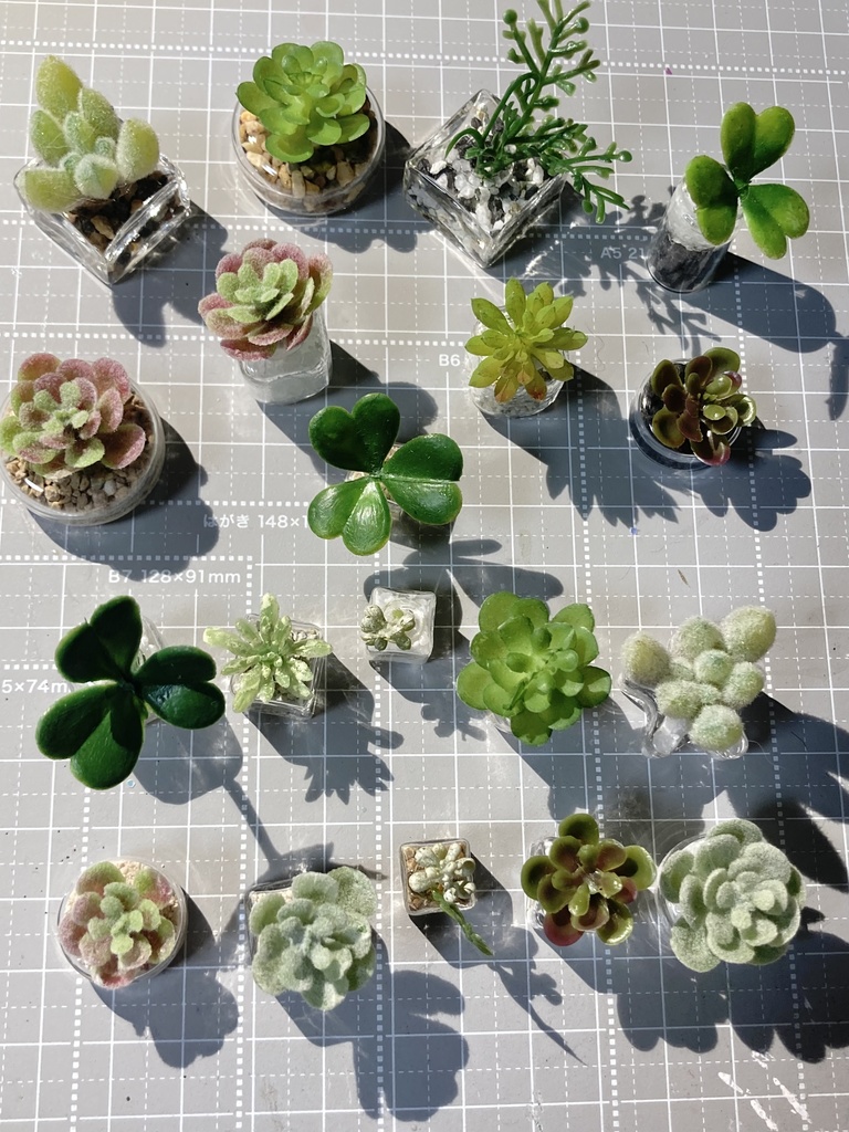 2024110AKガーデン🌱持ち帰り通販