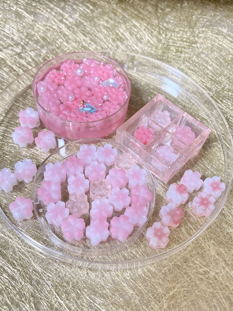 Cherry blossom2025🌸通販