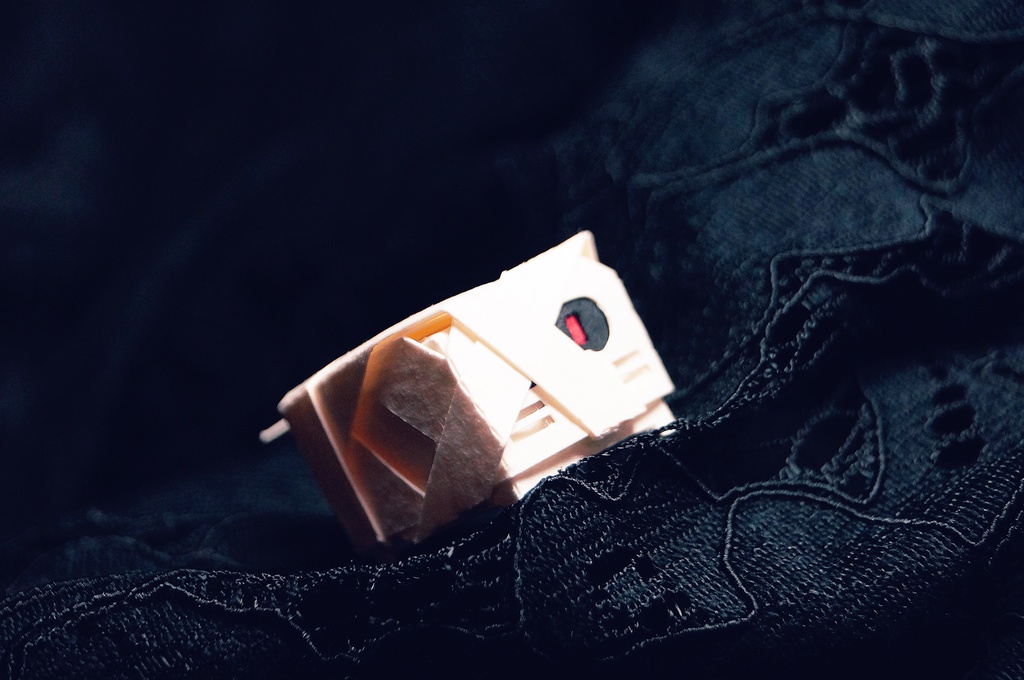 はこねこ ミイラ