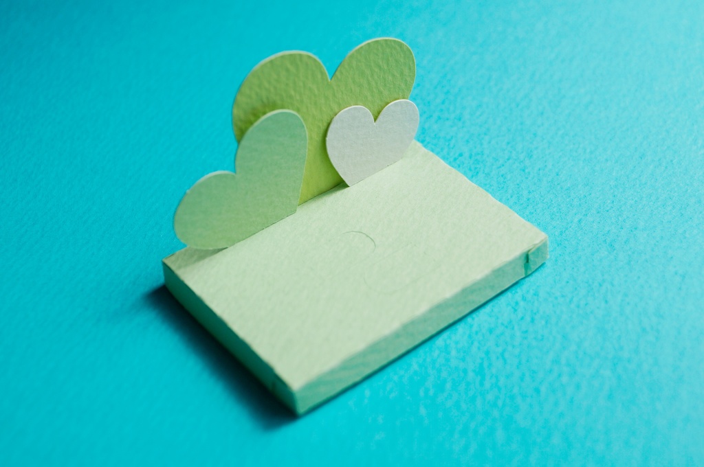 はこねこ ホワイトデー しろ みどりりぼん