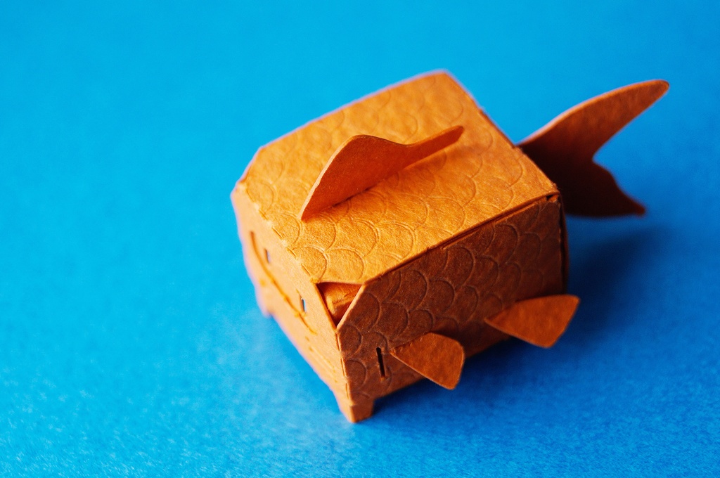 はこねこ きんぎょ オレンジ