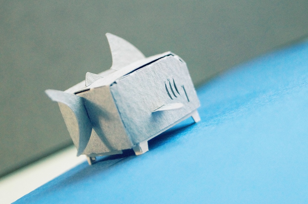 はこねこ サメ はいいろ